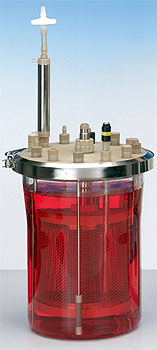 Festbett-Bioreaktor 5L